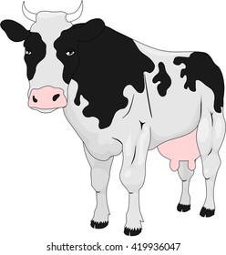 Cow