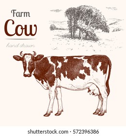 Cow 3. Animal Husbandry. Cow And Landscape In Graphic Style From Hand Drawing Image.