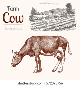 Cow 4. Animal husbandry. Cow and farm in graphic style from hand drawing image.