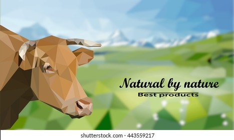 Cow against a background of meadows .