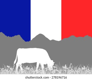 Cow alp and french flag