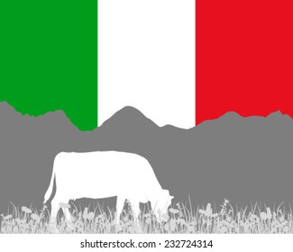 Cow alp and italian flag