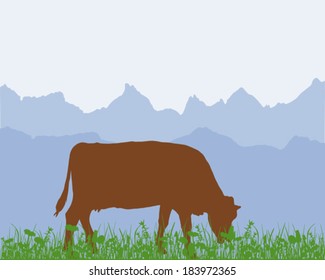 Cow in the alpine meadow