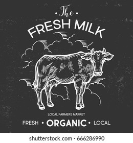 Cow animal, milk farm banner. Hand drawn sketch in a graphic style. Vintage vector engraving illustration with ribbon for poster, web. Isolated on black background