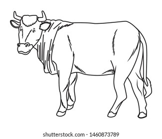 1,294 Indian cow cartoon Images, Stock Photos & Vectors | Shutterstock
