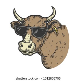 Cow animal in sunglasses color sketch engraving vector illustration. Scratch board style imitation. Black and white hand drawn image.