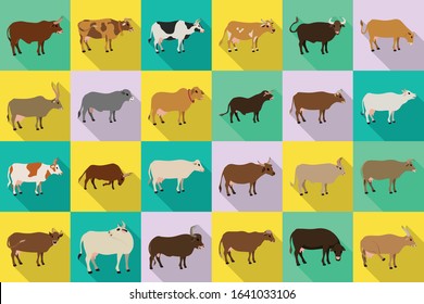 Cow of animal vector flat set icon.Isolated flat icon farm animal of cow.Vector illustration cattle for farm on white background.