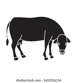 Cow of animal vector icon.Black vector icon isolated on white background cow of animal.