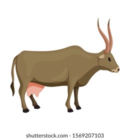 Cow of animal vector icon.Cartoon vector icon isolated on white background cow of animal.