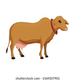 Cow of animal vector icon.Cartoon vector icon isolated on white background cow of animal.