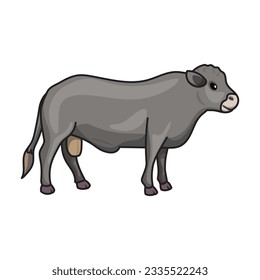 Cow of animal vector icon.Color vector icon isolated on white background cow of animal.