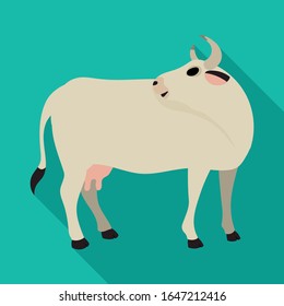 Cow of animal vector icon.Flat vector icon isolated on white background cow of animal.