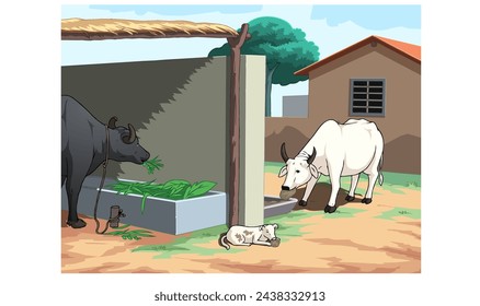 A cow and a Baffalo in village