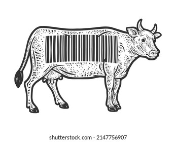 cow with barcode sketch engraving vector illustration. T-shirt apparel print design. Scratch board imitation. Black and white hand drawn image.