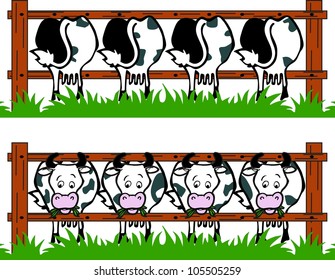 Cow Barn