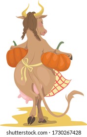 The Cow is bearing two pumpkins. Vector illustration for Chinese bull year calendar. 