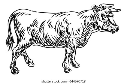 A cow beef food grunge style hand drawn menu option icon