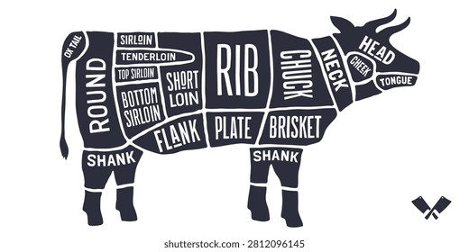 Cow, Beef, hand-drawn butcher cuts meat guide. Vintage butcher beef chart cow silhouette scheme, beef cuts chart butcher shop poster diagram, meat guide beef cuts chart. Vector illustration
