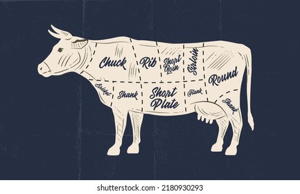 Vaca, tabla de carne de ternera. Cartel de carnicería con cortes de carne de res y textura artesanal de papel. Diagrama de carne de carnicero de época. Ilustración del vector