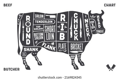 Cow, beef. Scheme, diagram, chart beef, butcher guide. Vintage retro print, art typography, tag, label with cow drawing, old school style. Poster cow for Butchery meat shop. Vector Illustration