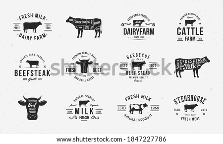 Cow, Beef vintage logo set. 12 Butchery labels, emblems with cow silhouettes. Logo, poster for dairy products, barbecue, steak house, restaurant, meat shop. Beef cuts diagram. Vector emblems.