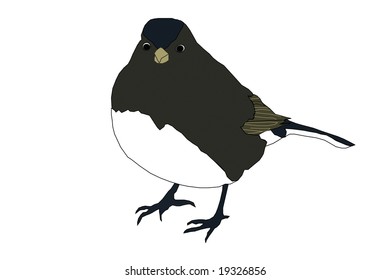 Cow bird illustration