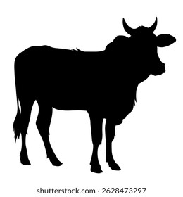 Cow black silhouette isolated on white background. Vector illustration