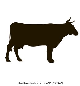 Cow black silhouette. Vector illustration