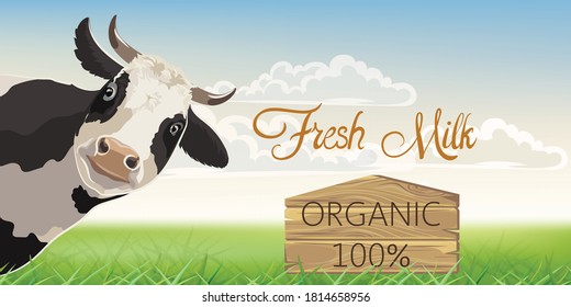 A cow with black spots with a meadow in background. Organic fresh milk. 3D mockup product placement. Vector