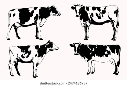 Cow Black and White Vector Illustration