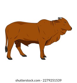 Cow in brown color, vector illustration, isolated on white background