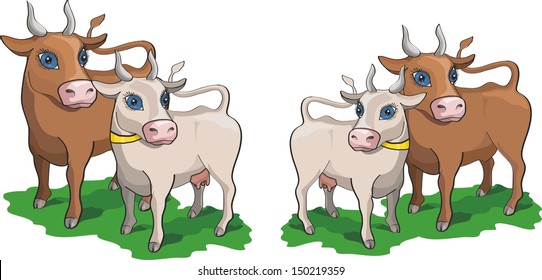 cow and bull