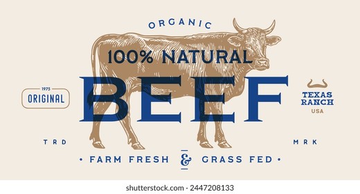 Cow, bull, beef meat, tag label. Template Meat Beef Tag Label. Vintage cow print, tag, label sketch ink pencil drawing. Butchery cow, bull, beef meat shop, text, typography. Vector Illustration