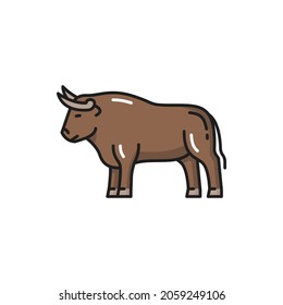 Cow bull buffalo farm cow ox, taurus sign isolated flat cartoon icon. Vector traditional Spain and portugal animal, bullfight contests ox. Farm cow or buffalo, beef with horns. Taurus horoscope sign