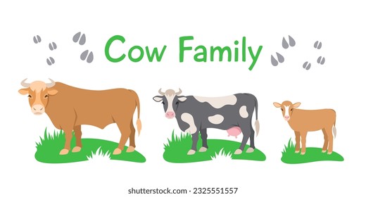 Vaca, toro y ternera parados sobre el pasto. Ilustración de dibujos animados de vector plano. Aislado en blanco. Familia de animales domésticos de ganado vacuno, macho maduro y hembra con descendencia. Longitud completa, vista lateral