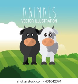 cow and bull design  , vector graphic , animal illustration