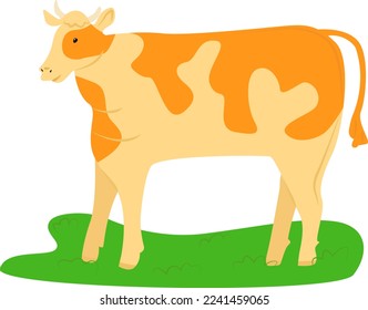 Cow or bull farm animal isolated on white vector illustration