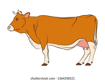 Cow Bull Head Isolated On White Stock Vector (Royalty Free) 1364358521 ...