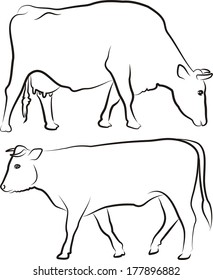 cow bull outlines silhouettes stock vector royalty free 178080194