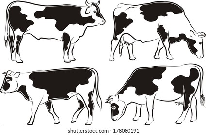 cow and bull - outlines and silhouettes