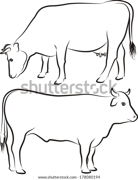 Cow Bull Outlines Silhouettes Stock Vector (Royalty Free) 178080194