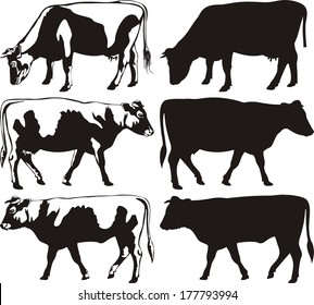 cow and bull - silhouettes