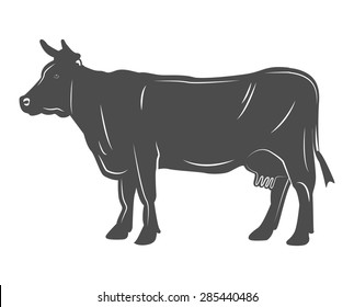 cow. butcher shop.