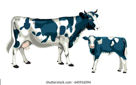 Cow Calf Stock Vector (Royalty Free) 645916594