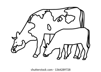cow and calf black and white