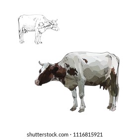 Cow Calf brown, vector