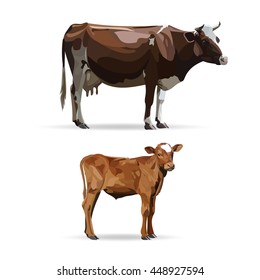 Cow Calf brown, vector