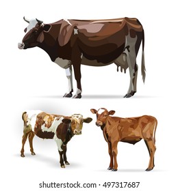 Cow Calf brown, vector