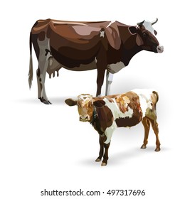 Cow Calf brown, vector