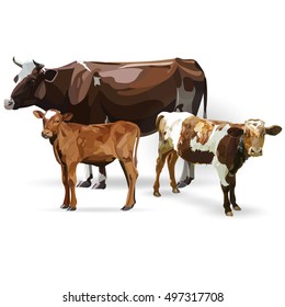 Cow Calf brown, vector